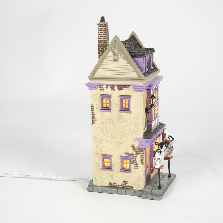 Harry Potter Village | Eeylops Owl Emporium | Lighted Buildings