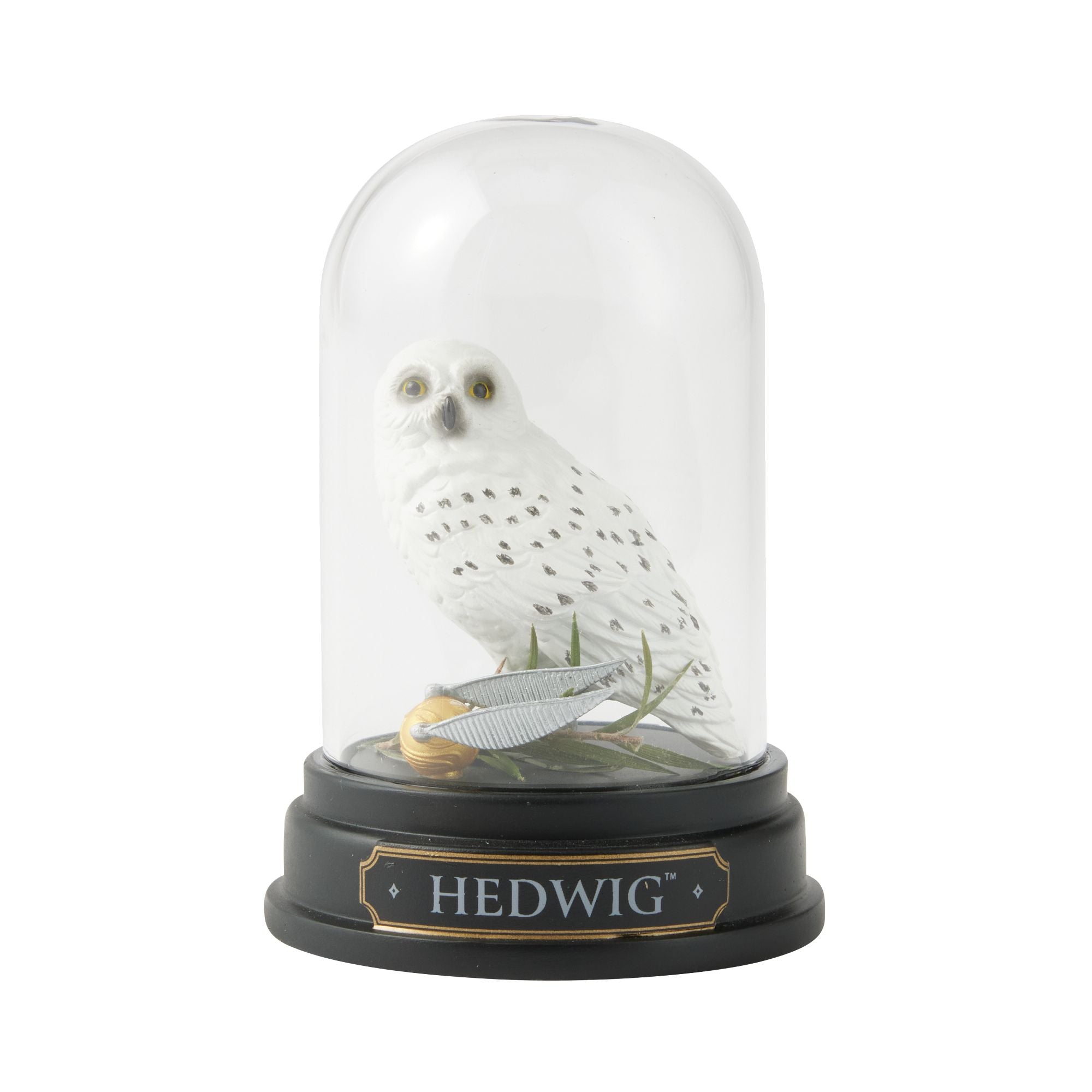 Wizarding World of Harry Potter | WZDWLD Hedwig Curiosity Cloche