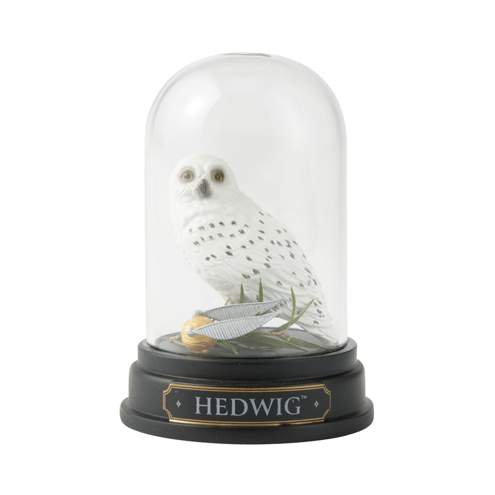 Wizarding World of Harry Potter | WZDWLD Hedwig Curiosity Cloche | Figurine