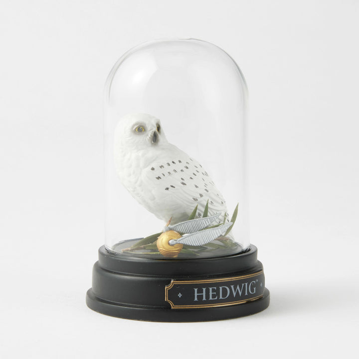 Wizarding World of Harry Potter | WZDWLD Hedwig Curiosity Cloche | Figurine