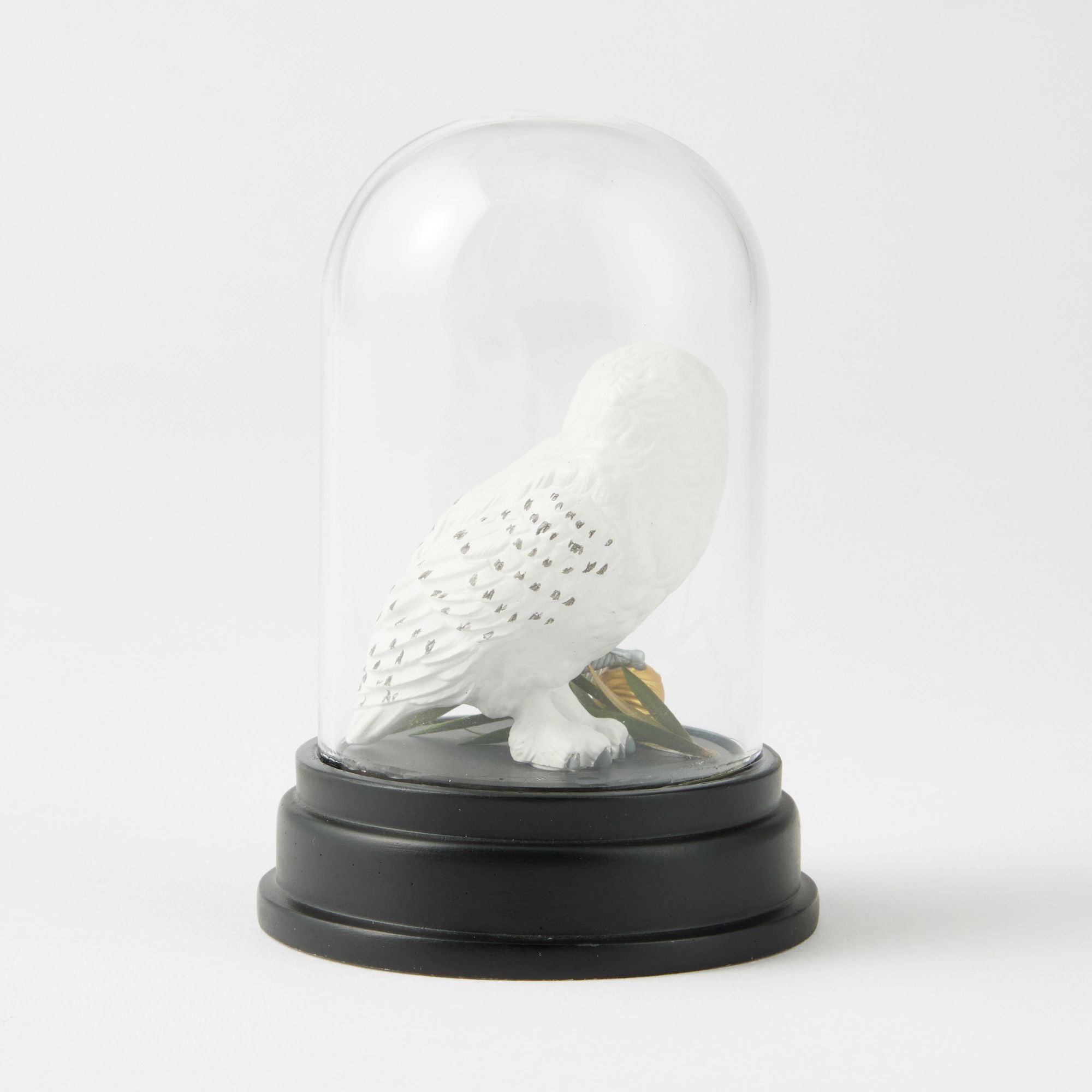 Wizarding World of Harry Potter | WZDWLD Hedwig Curiosity Cloche