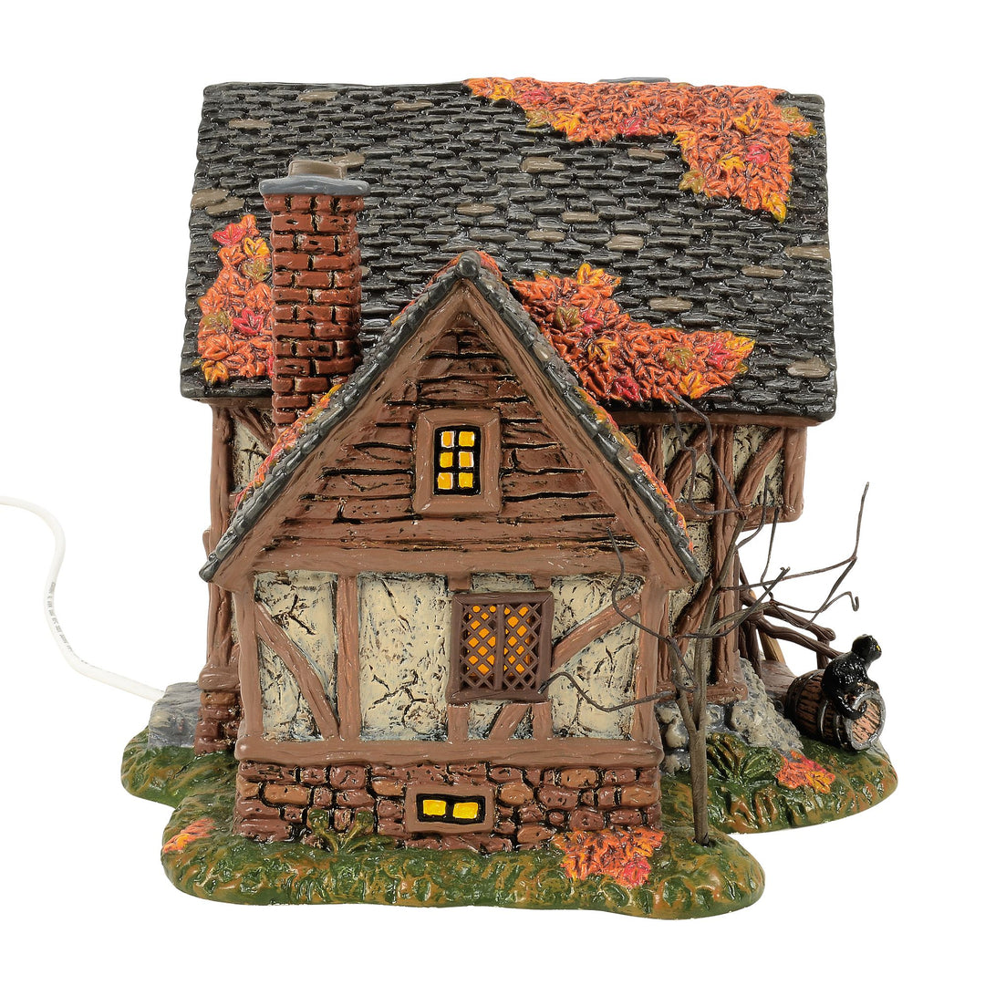 Hot Properties Village | The Sanderson Sister's Cottage | Lighted Buildings