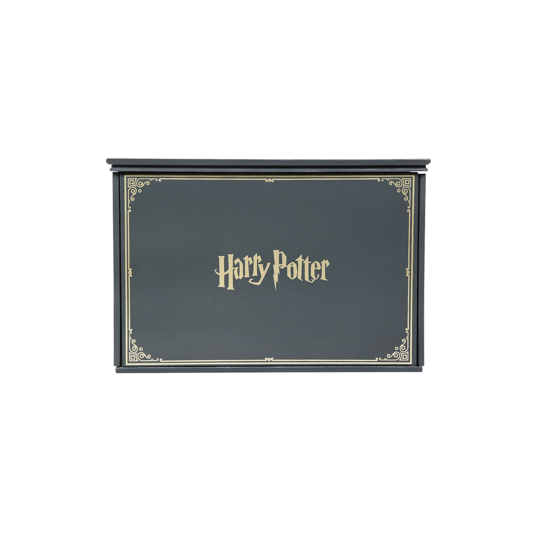 Harry Potter Room View | Slytherin Common Room | Lighted Buildings