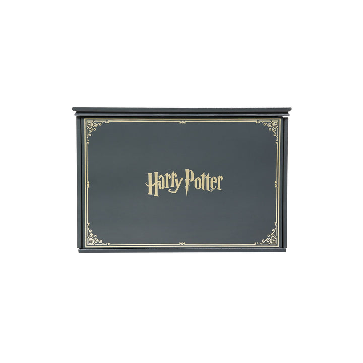 Harry Potter Room View | Slytherin Common Room | Lighted Buildings