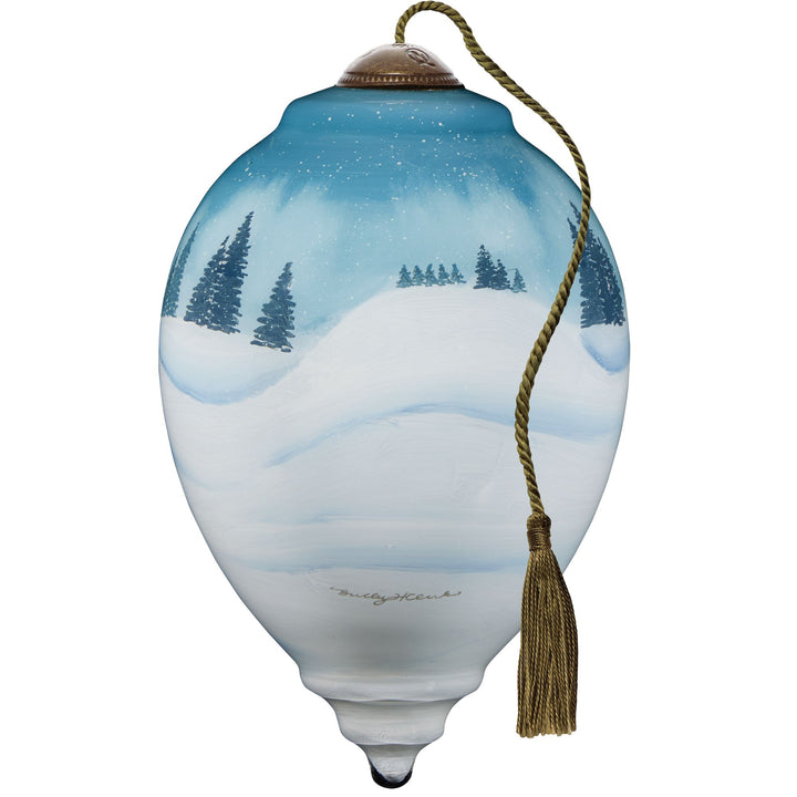 Ne’Qwa Ornaments | Believe Wonder Christmas Orn | Hanging Ornament