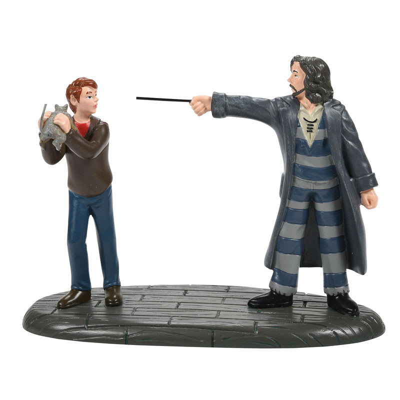 Harry Potter Village | Come Out and Play, Peter! | Village Figures
